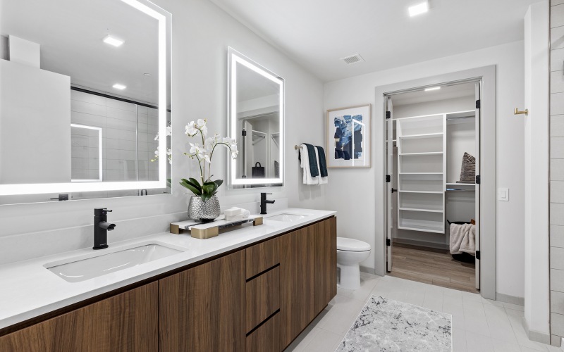 1909 Rittenhouse bathroom with led bath mirror