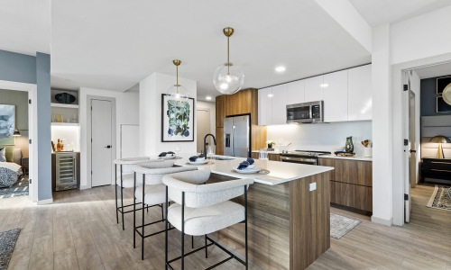 1909 Rittenhouse Chef-Inspired Kitchen